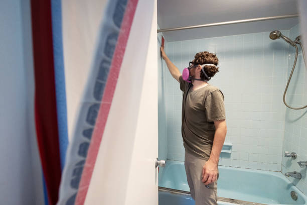Reliable Shinnecock Hills, NY Mold Removal Solutions
